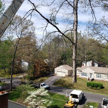 Greenleaf Tree - We offer crane services as well - Tree Services Near Me Greenleaf Tree - We offer crane services as well - Tree Services Near Me