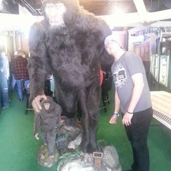Sasquatch Casino - Sasquatch - Casinos Near Me - Black Hawk, Colorado Sasquatch Casino - Sasquatch - Casinos Near Me - Black Hawk, Colorado