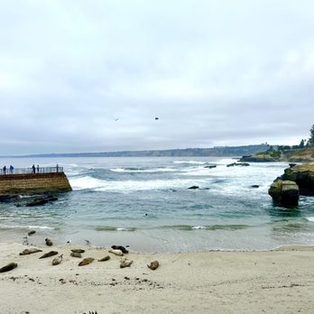 Children's Pool - Beaches Near Me - La Jolla, California Children's Pool - Beaches Near Me - La Jolla, California