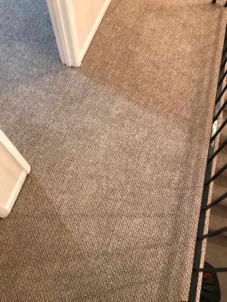 PAUL & SON CARPET CLEANING Herndon, Virginia Carpet Cleaning