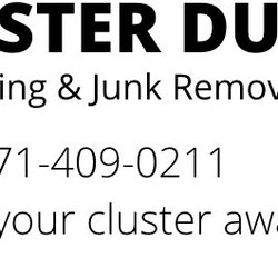 Cluster Ducks Hauling & Junk Removal