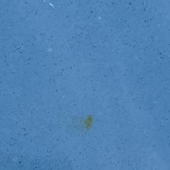 Burkett’s Pool Plastering - Rust stain on new plaster - Pool & Hot Tub Service Near Me - Ripon, California