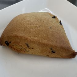 Koda Koffee - Blueberry Scone. They had two other scone options.