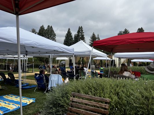 Orsi Family Vineyards by null