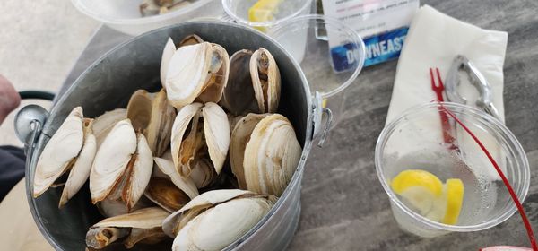 J’s Oyster by null