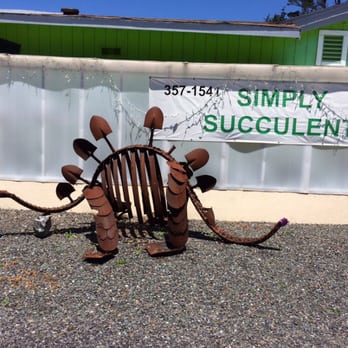 Simply Succulent - The upcycled/repurposed Dino out front - Nurseries & Gardening Near Me - Fort Bragg, California