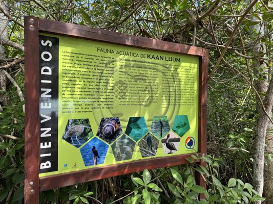 Laguna de Kaan Luum by null