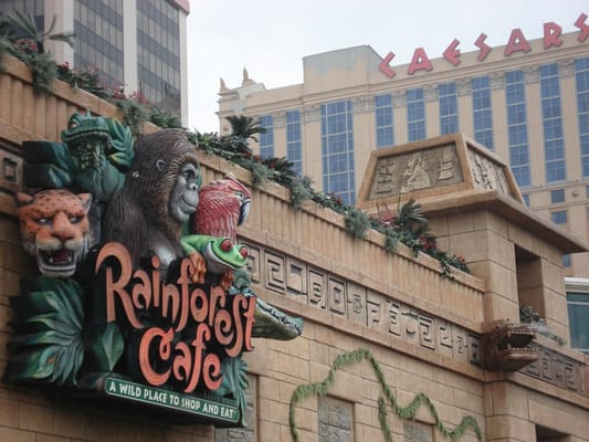 Rainforest Cafe by null