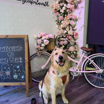 Ding Tea - Fort Worth - Coffee & Tea Near Me - Fort Worth, Texas
