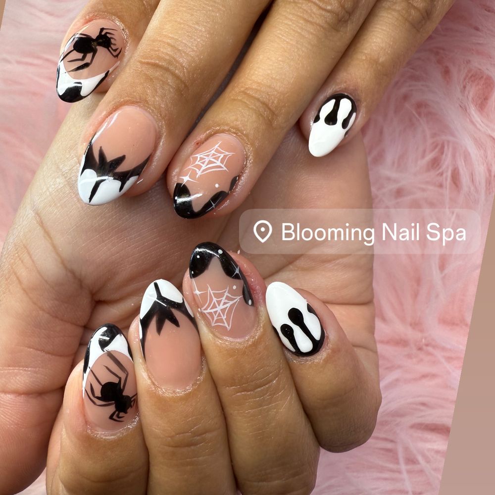 Naveana Solano Ave, Albany, CA - Last Updated January 2026 - Yelp