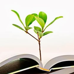 Life Focus Counseling Coaching & Educational Services