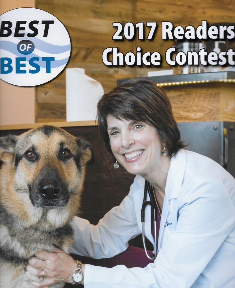 CUMBERLAND ANIMAL CLINIC Updated August 2024 216 Greely Rd