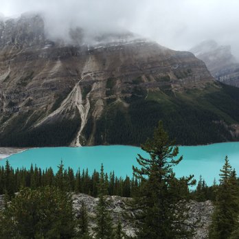 Peyto Lake - Peyto Lake - Lakes Near Me - Banff, Alberta Peyto Lake - Peyto Lake - Lakes Near Me - Banff, Alberta