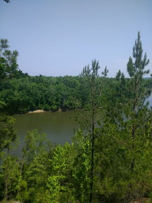The Nature Conservancy Apalachicola Bluffs and Ravines Preserve (Garden of Eden trail) by null