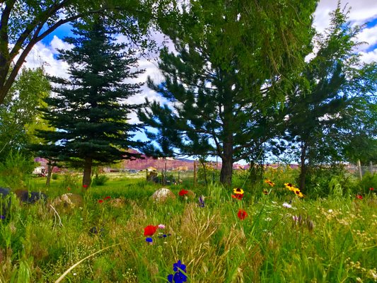 Sandcreek RV Park by null