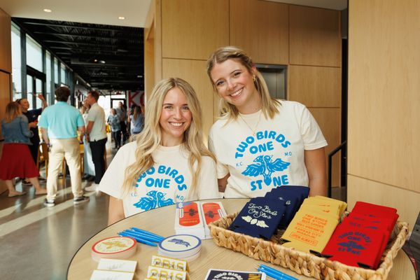 Two Birds One Stone by null