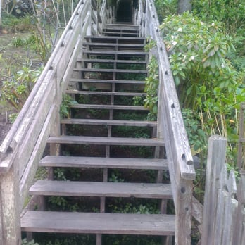 Filbert Steps - Passing thru the neighborhood gardens and yards. - Local Flavor Near Me - San Francisco, California