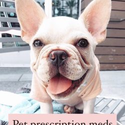 Altru Chemists - You had us at woof!  We are your neighborhood pet-friendly pharmacy
