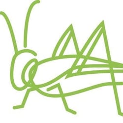 Grasshopper Marketing