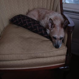 Bentley my gift from the Bill Foundation.