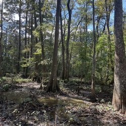 BREC's Bluebonnet Swamp Nature Center