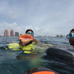 Beach Ventures Seabob snorkel and Jet Ski Rental