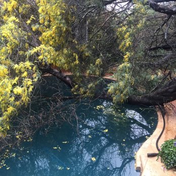 Arbortech Tree Care - Tree Services Near Me - Hayward, California