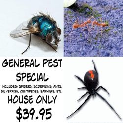 Luper Industries Pest Control Service - The best price on Pest Control with a great warranty! We will solve your pest problems!