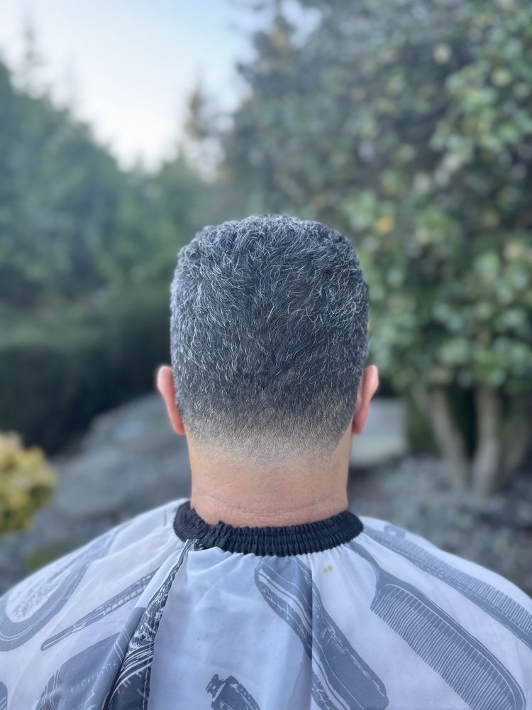 Hairstyles Dany Logo