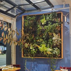 The Point Kitchen and Bar - Beautiful wall planter box