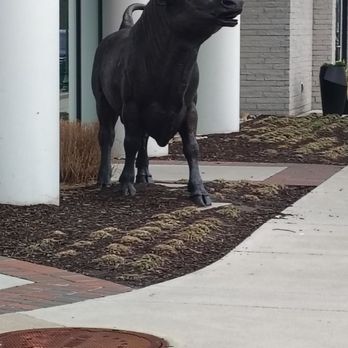 Cork & Bull Chophouse - Steakhouses Near Me - Chesapeake, Virginia