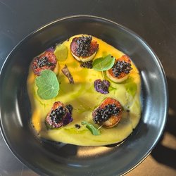 The Essex - Scallop Appetizer