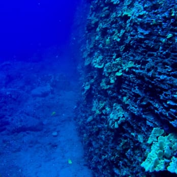 Island Divers - Scuba Diving Near Me - Honolulu, Hawaii