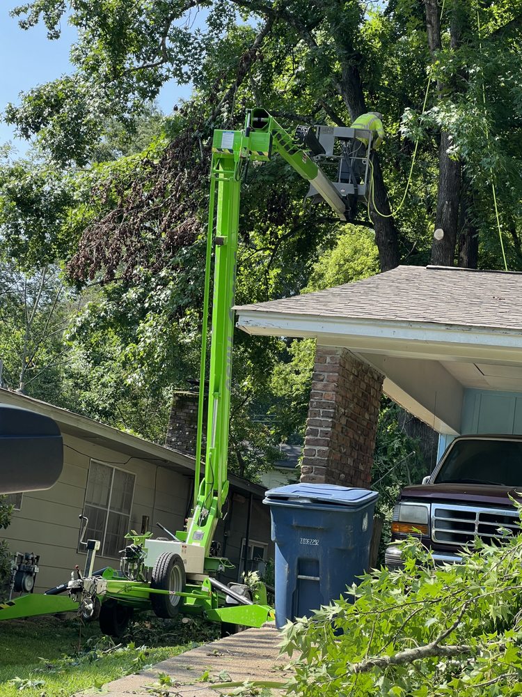 Hot Shots Tree Cutters - tree service in Jackson, MS