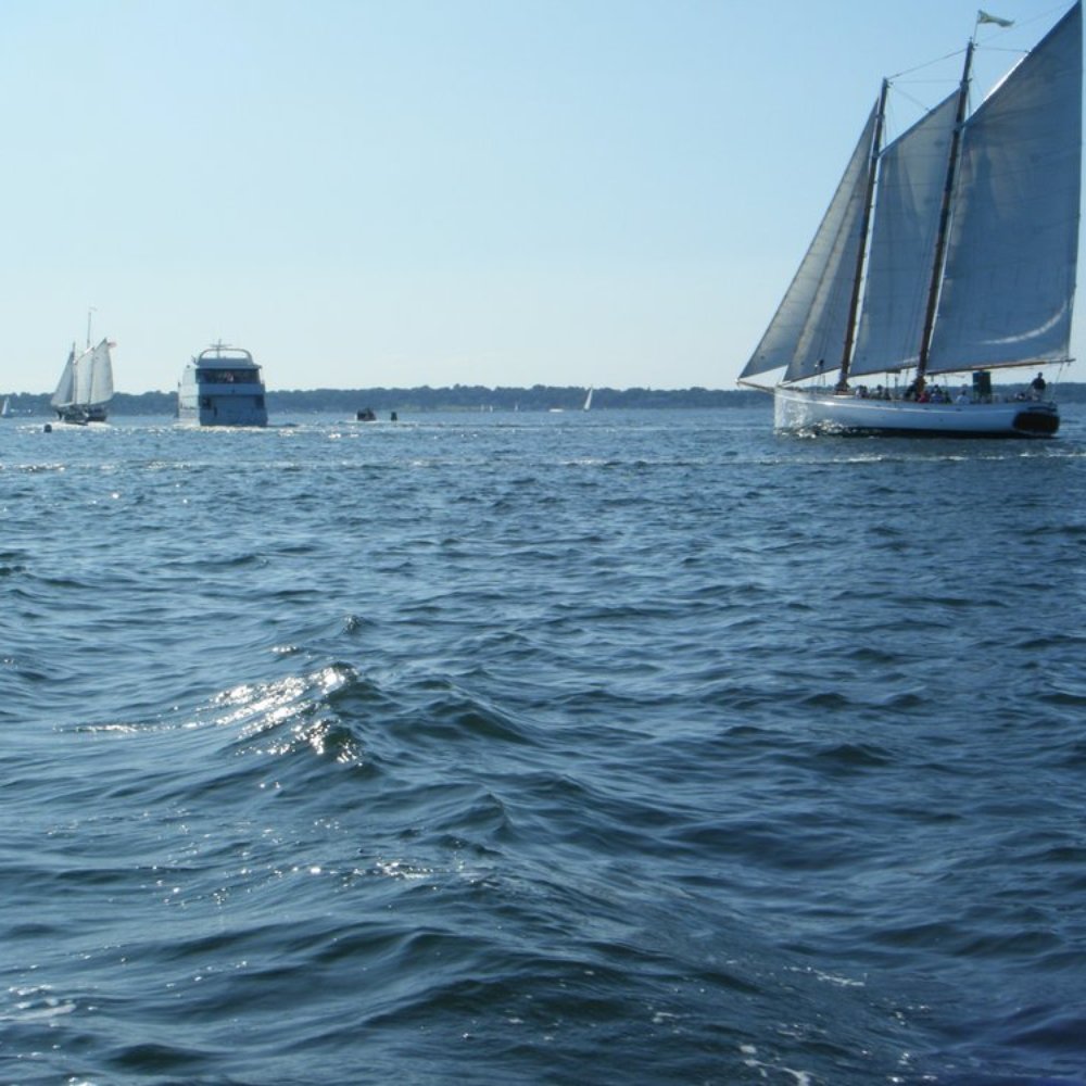 King Park - Always cool boats out in the water - Parks Near Me - Newport, Rhode Island King Park - Always cool boats out in the water - Parks Near Me - Newport, Rhode Island