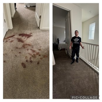 Carpetologist Carpet Repair - Home Services Near Me Carpetologist Carpet Repair - Home Services Near Me