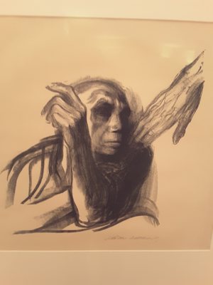 Käthe Kollwitz Museum by null