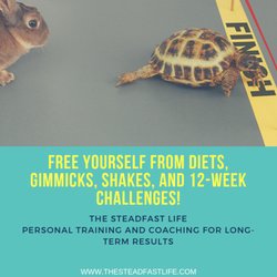 The Steadfast LIfe