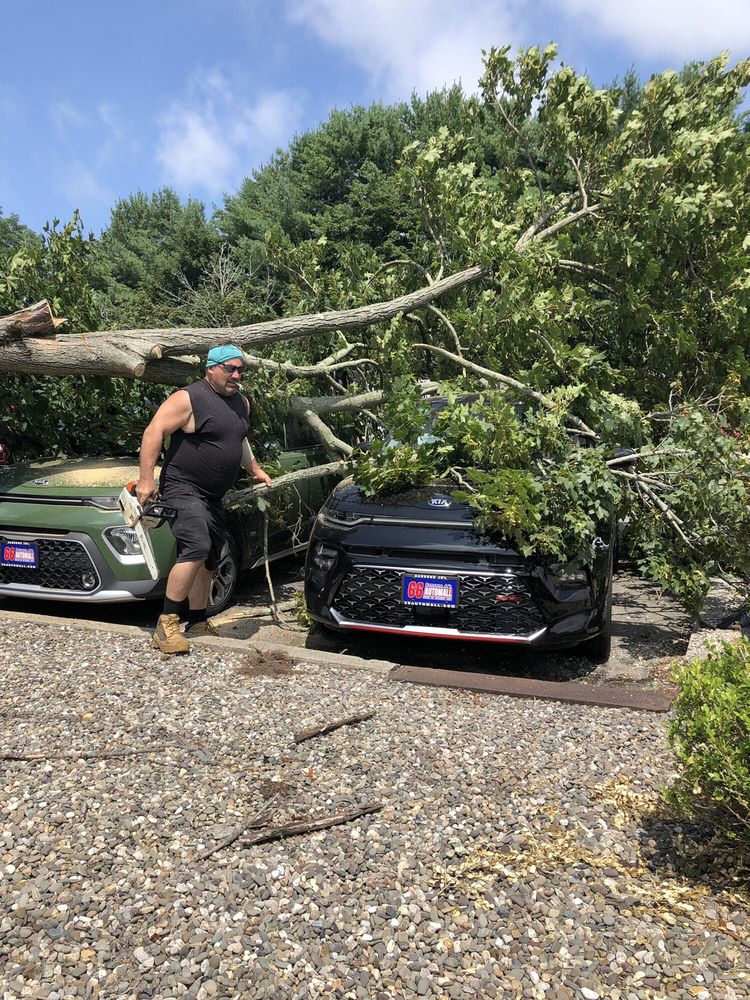 STEELE TREE SERVICE Toms River, NJ Yelp
