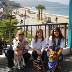 Christen's Canine Club