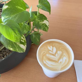 Civil Goat Coffee - Vanilla Latte - Coffee & Tea Near Me - Austin, Texas