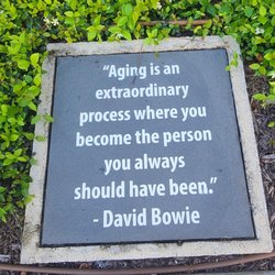 Caring Seniors Solutions - Aging quote