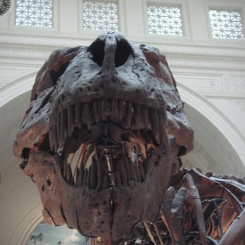 Field Museum - ran ran away yes i know it is run run away - Museums Near Me - Chicago, Illinois Field Museum - ran ran away yes i know it is run run away - Museums Near Me - Chicago, Illinois