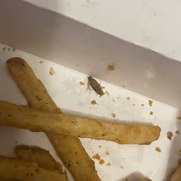 a bug in a box of french fries a bug in a box of french fries