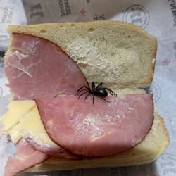 Jimmy John's