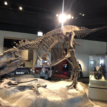 Field Museum - Museums Near Me - Chicago, Illinois Field Museum - Museums Near Me - Chicago, Illinois