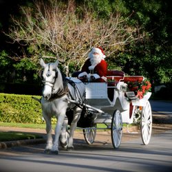 Christmas Carriage Rides