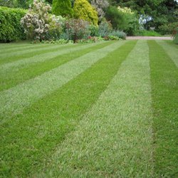 Martie's Farm Service - Meet your new lawn!