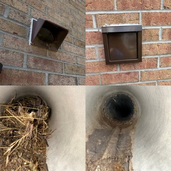 The Lint Guys - before and after birds nest mania! - Air Duct Cleaning Near Me - Mendham, New Jersey The Lint Guys - before and after birds nest mania! - Air Duct Cleaning Near Me - Mendham, New Jersey