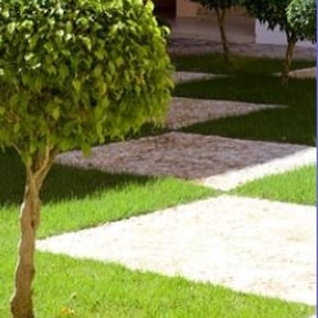 Landscape One - a small tree in a courtyard - Landscaping Near Me - Muskegon, Michigan Landscape One - a small tree in a courtyard - Landscaping Near Me - Muskegon, Michigan